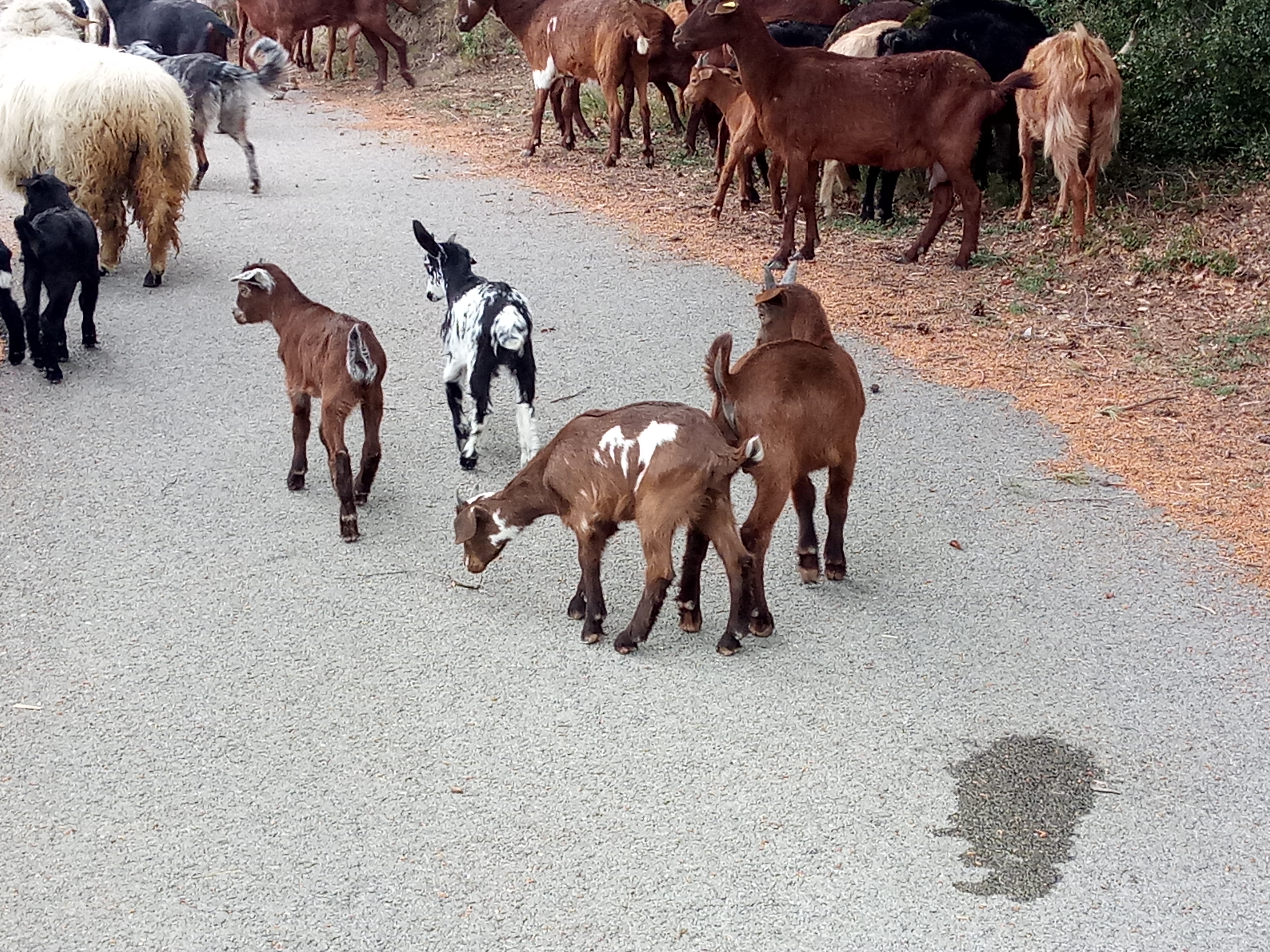 Photo n° 2 de l'avis de cedric.u fait le 19/04/2019 à 09:54