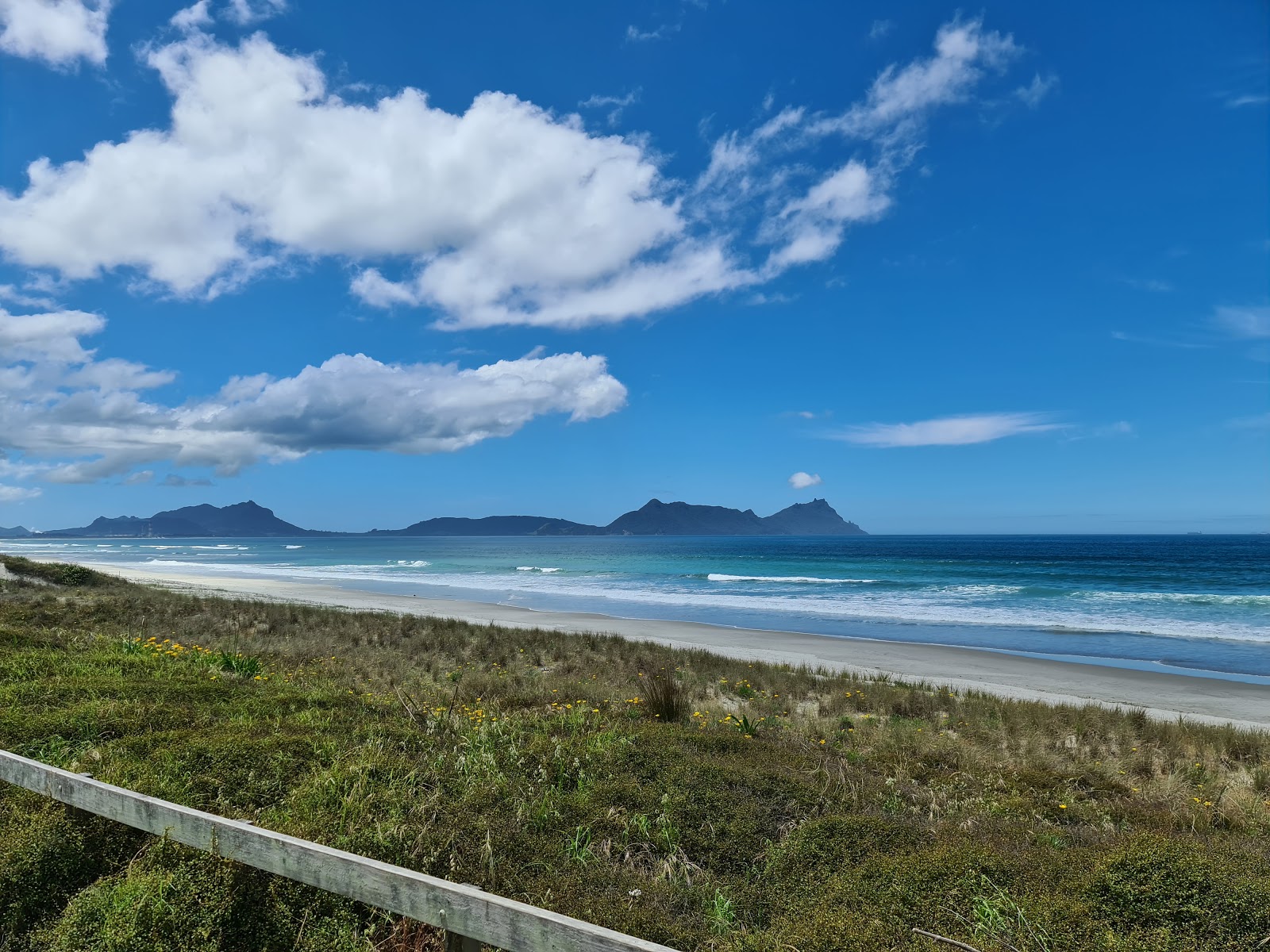 Ruakaka Beach photo #8