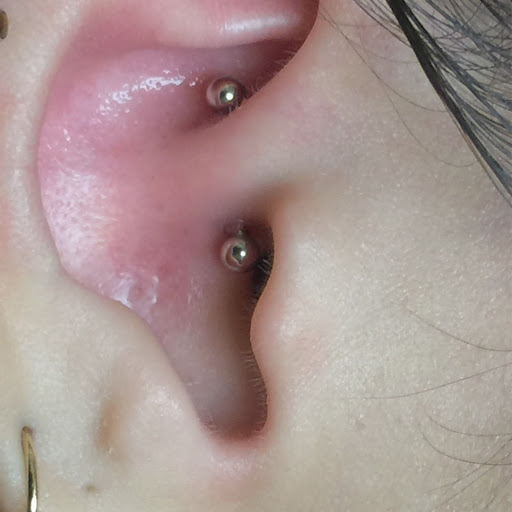 Explore pitbull dog tattoo ideas, creative tattoo ideas in San Diego, available at Body Art Salon