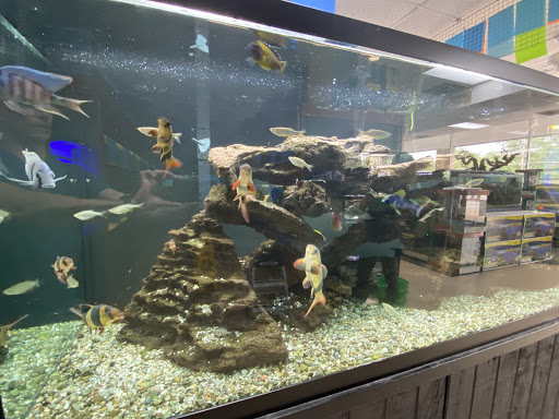 Pet Supply Store «Tropical World Pets», reviews and photos, 8444 Watson Rd, Webster Groves, MO 63119, USA