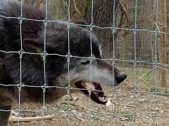 Wolf Sanctuary of PA