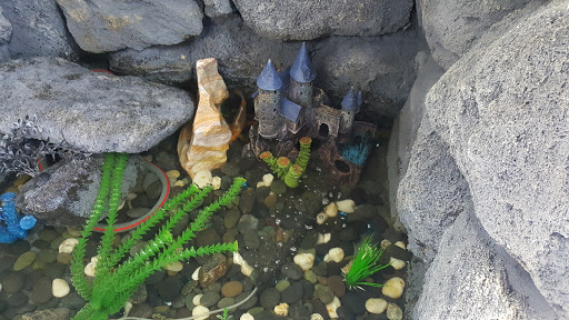 Car Wash «Opal Street Car Wash», reviews and photos, 3898 Opal St, Riverside, CA 92509, USA