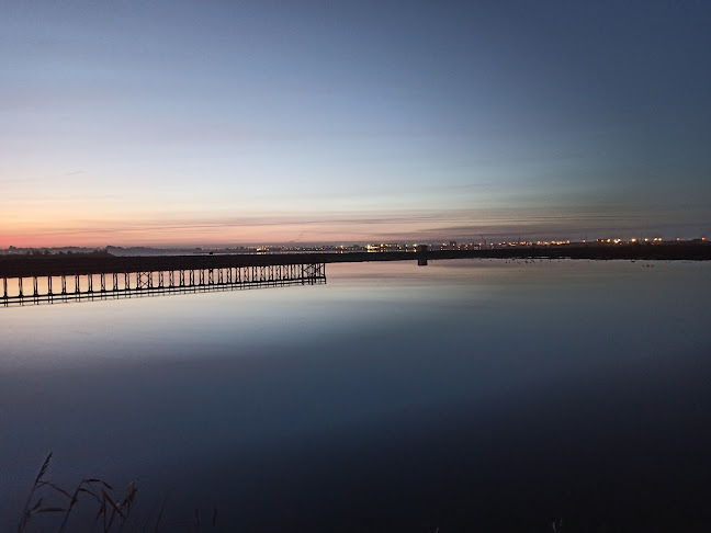 Salina Santiago da Fonte - Aveiro