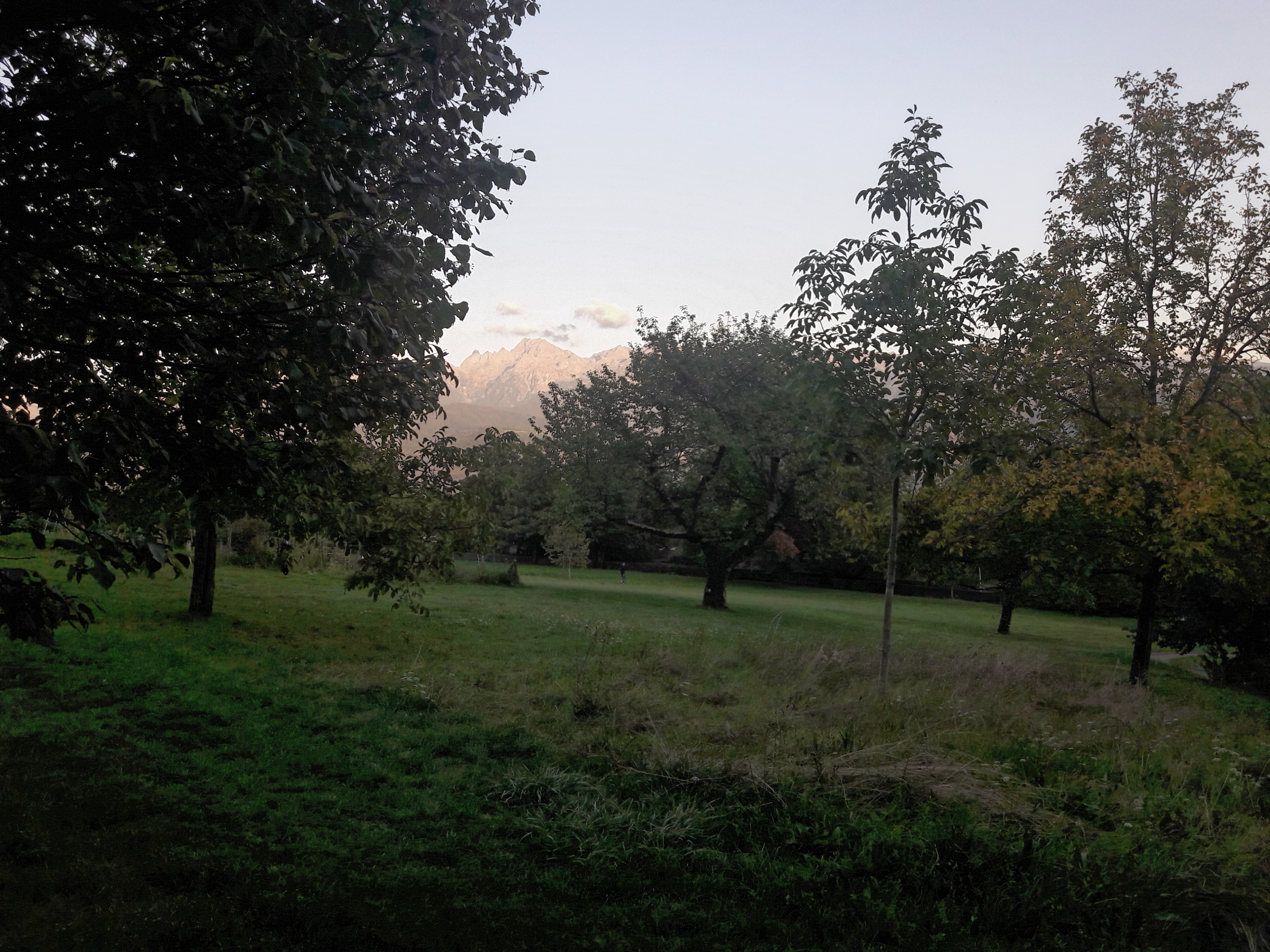 Photo n° 2 de l'avis de Ptit.o fait le 01/09/2022 à 20:57