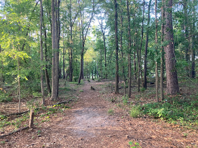 Lost Woods Disc Golf Course