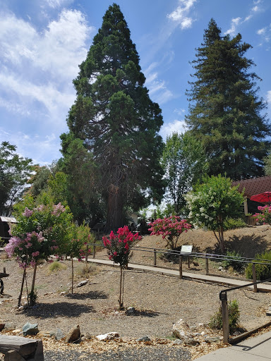 Museum «Angels Camp City Museum», reviews and photos