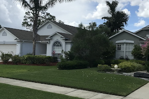 Abaco Lawn Care image