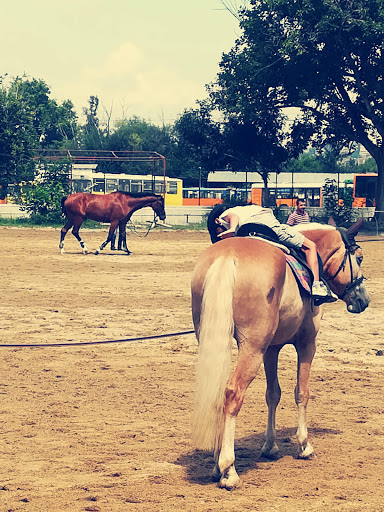 Horseback riding nearby Sofia