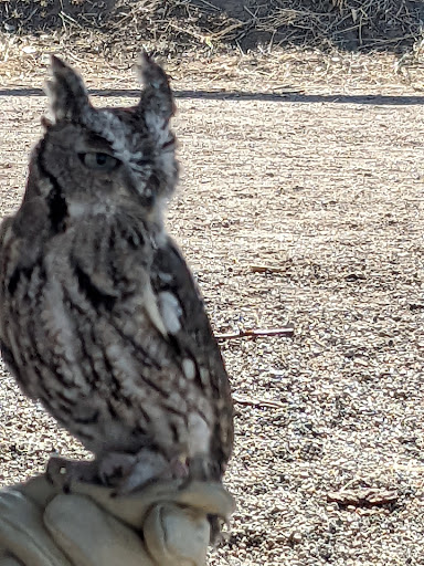 Nature Preserve «Bluff Lake Nature Center», reviews and photos, 3400 Havana Way, Denver, CO 80238, USA