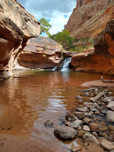 Mill Creek North Fork Trailhead