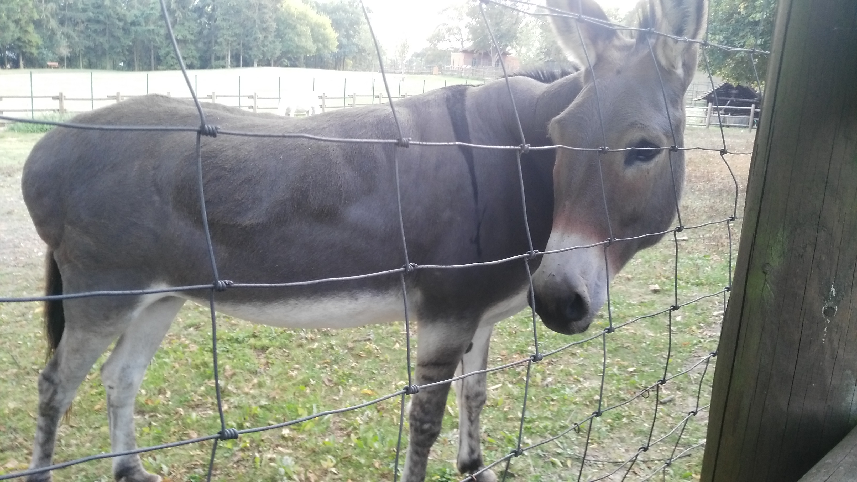 Photo n° 1 de l'avis de Y. fait le 05/09/2018 à 17:25