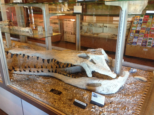 Museum «Phosphate Museum», reviews and photos, 101 SE 1st St, Mulberry, FL 33860, USA