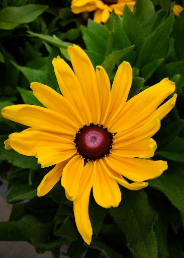 Home Improvement Store «The Home Depot», reviews and photos, 4949 NW Old Pike Rd, Gladstone, MO 64118, USA