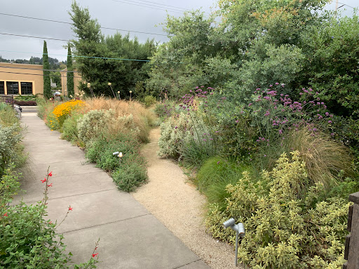 Winery «Argyle Winery», reviews and photos, 691 OR-99W, Dundee, OR 97115, USA