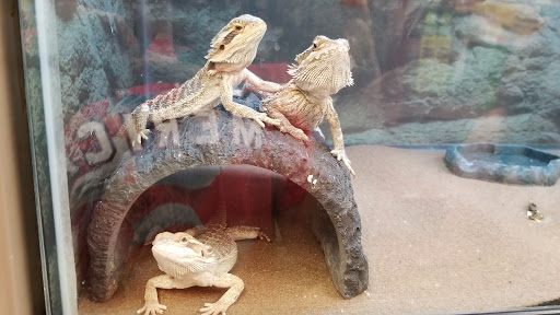 Pet Supply Store «Petco Animal Supplies», reviews and photos, 5938 Roswell Rd NE, Sandy Springs, GA 30328, USA