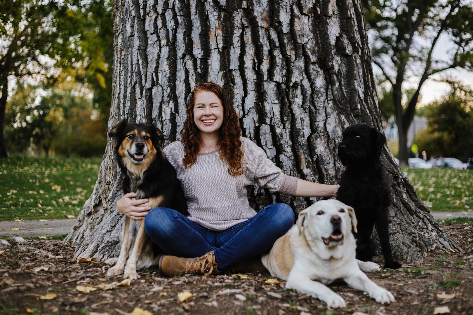 Finn Family Dog Training