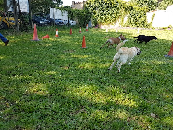 Residncia Canina Campdor
