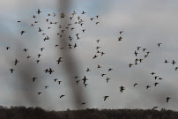 Arkansas Land Company - Photo 6 - Car repair in North Little Rock, AR, Little Rock