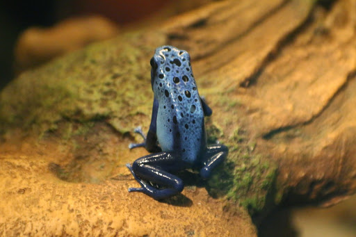 Science Museum «Museum of Life and Science», reviews and photos, 433 W Murray Ave, Durham, NC 27704, USA