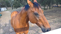 Barkers Pet Care - Photo 8 - Car repair in , Sacramento