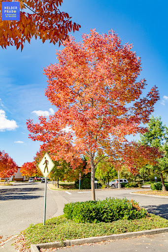 Supermarket «WinCo Foods», reviews and photos, 3947 116th St NE, Marysville, WA 98271, USA