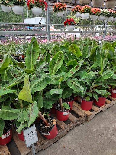 Plant Nursery «Blooming Acres», reviews and photos, 7561 State Rd, Wadsworth, OH 44281, USA