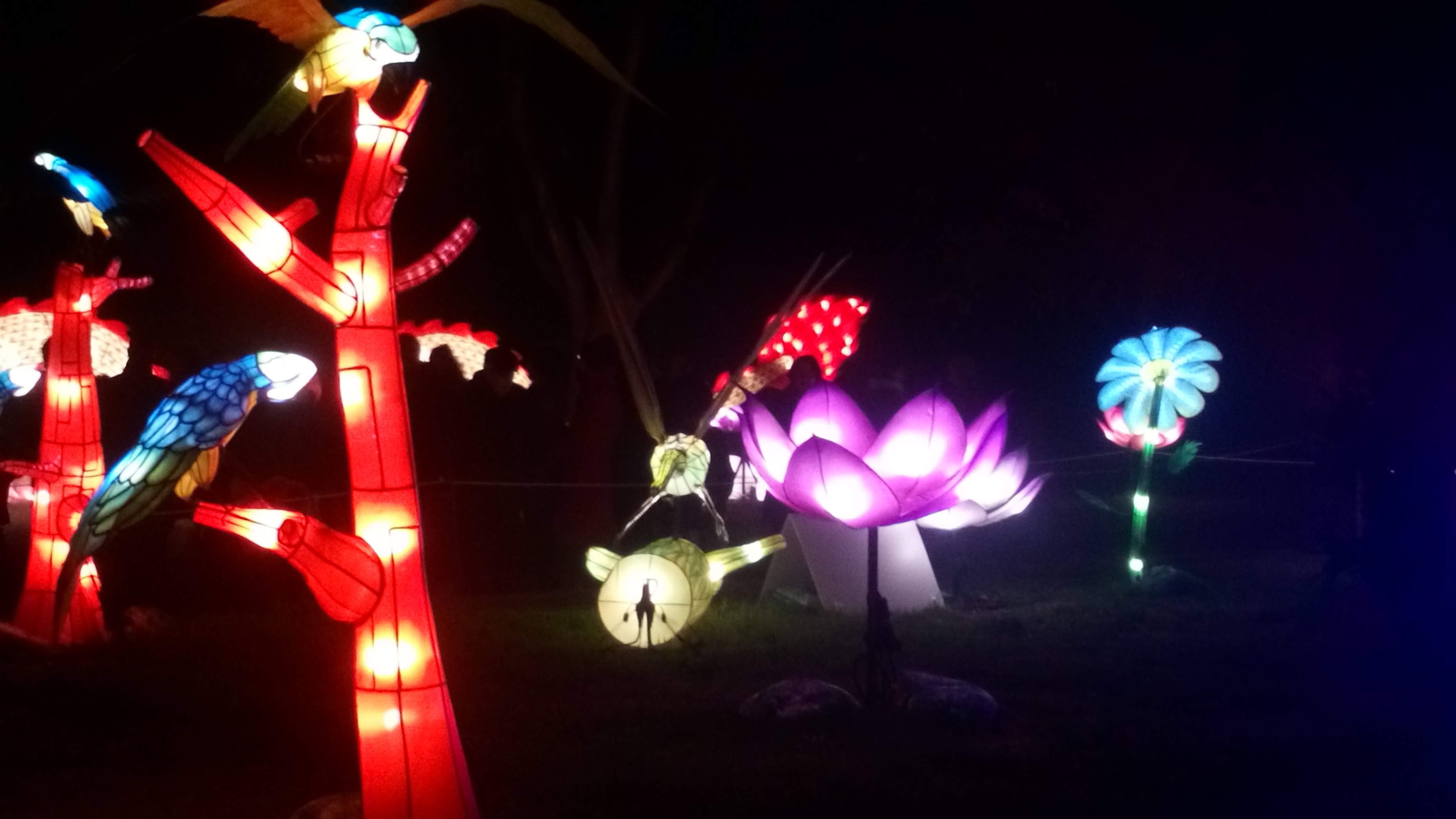 Photo n° 8 de l'avis de Veronique.A fait le 31/12/2019 à 19:05