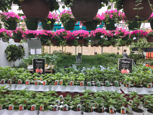 Florist «Forest Lake Floral, Gift & Garden», reviews and photos, 508 Lake St S, Forest Lake, MN 55025, USA