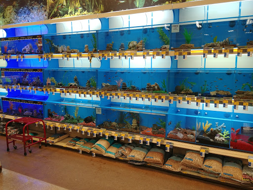 Pet Supply Store «PetSmart», reviews and photos, 4056 Atlanta Hwy, Loganville, GA 30052, USA