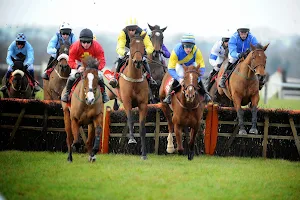 Cork Racecourse Mallow image
