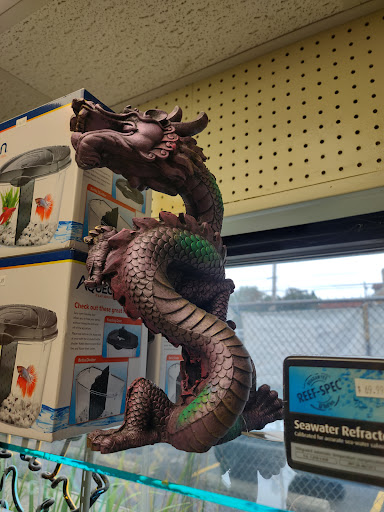 Pet Store «Little Critters», reviews and photos, 2712 Pennsylvania Ave, Weirton, WV 26062, USA