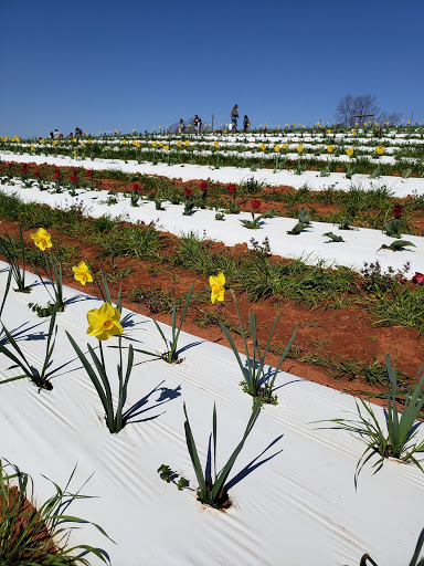 Farm «Jaemor Farms», reviews and photos, 5340 Cornelia Hwy, Alto, GA 30510, USA