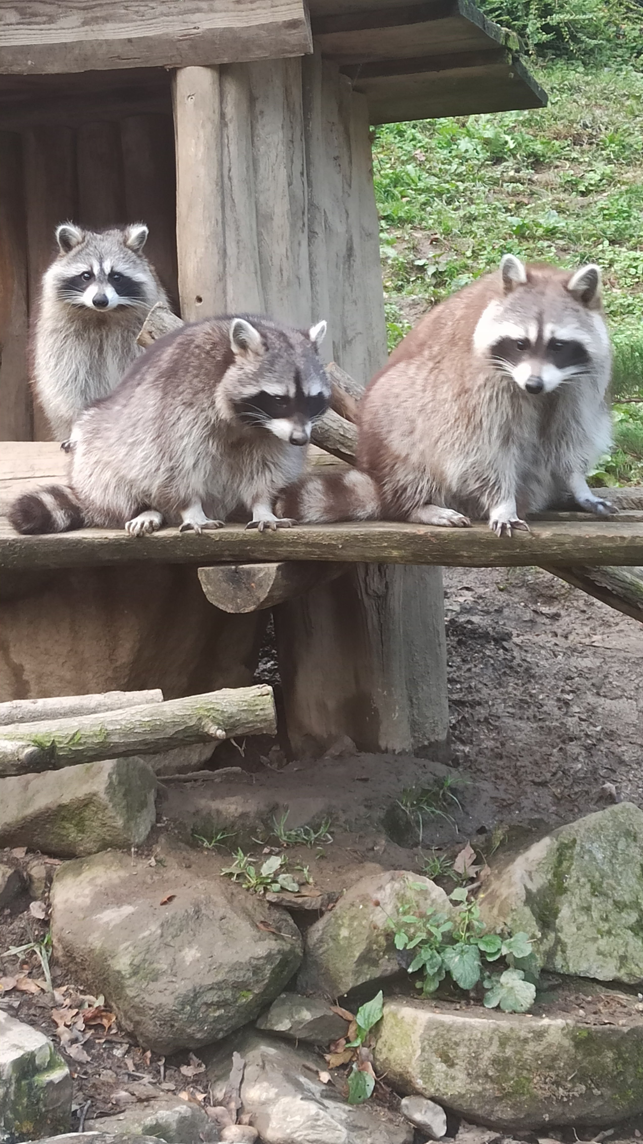 Photo n° 4 de l'avis de Lucie.o fait le 26/10/2023 à 19:45