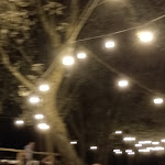 Photo n°1 de l'avis de DOTTOR.E fait le 07/08/2023 à 09:07 sur le  Osteria La Briga à Finale Ligure