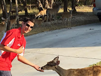 Shine of Ann Arbor - Photo 9 - Car repair in Ann Arbor, MI, Ann Arbor