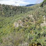 Photo n° 2 de l'avis de Googl'.i fait le 16/08/2020 à 08:25 pour Cascade du Nideck à Oberhaslach