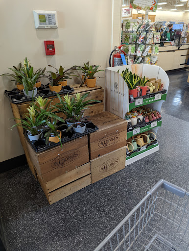 Health Food Store «Sprouts Farmers Market», reviews and photos, 1343 W Campbell Rd, Richardson, TX 75080, USA