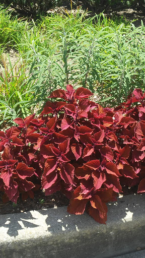 Park «Mount Storm Park», reviews and photos, 700 Lafayette Ave, Cincinnati, OH 45223, USA