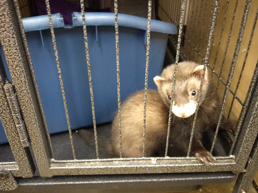 Pet Supply Store «Pet Supplies Plus», reviews and photos, 101 Sutton Ave, Oxford, MA 01540, USA