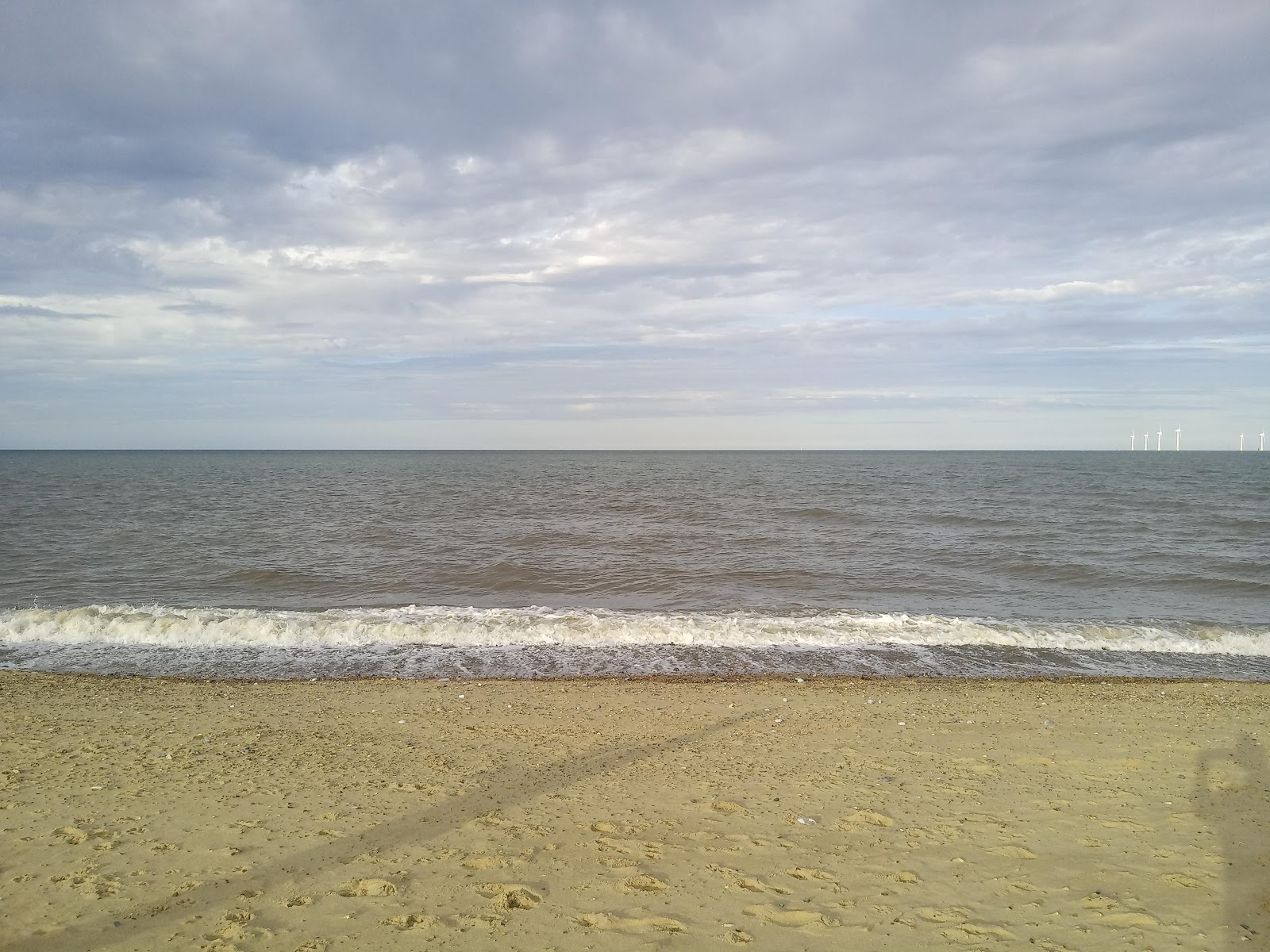 Caister-on-Sea'in fotoğrafı vahşi alan