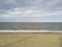Caister-on-Sea'in fotoğrafı vahşi alan