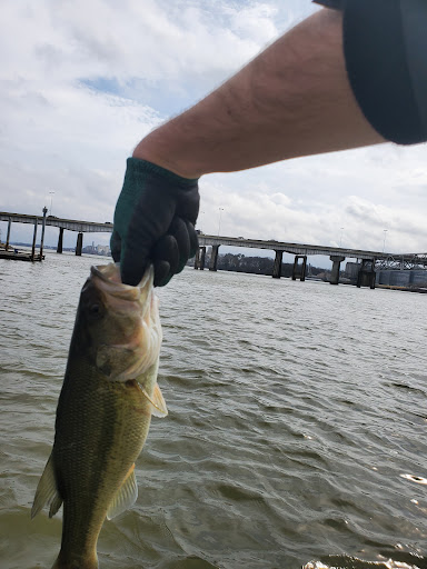 Sporting Goods Store «Academy Sports + Outdoors», reviews and photos, 1205 Wimberly Dr SW, Decatur, AL 35603, USA