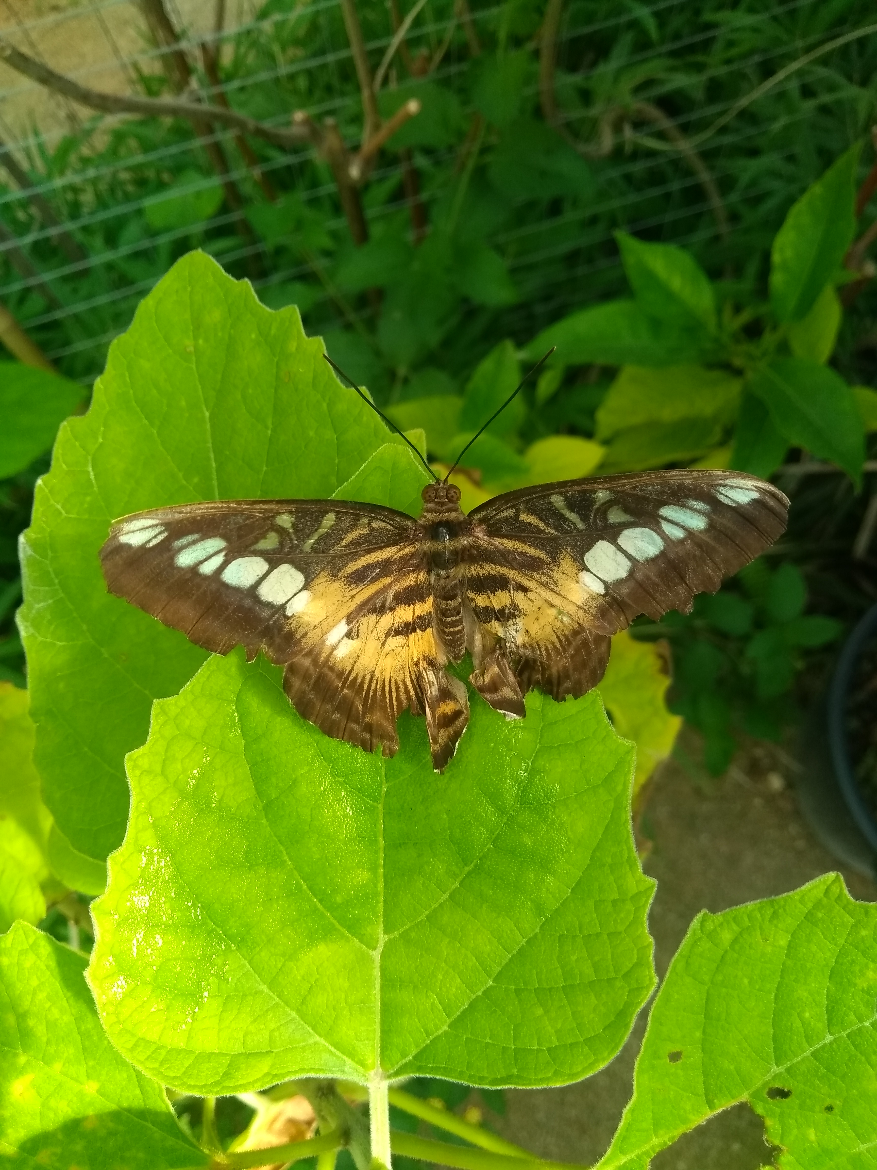 Photo n° 1 de l'avis de Johannes.o fait le 13/07/2019 à 20:02