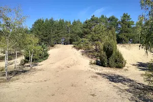 Lucynowsko-Mostowieckie dunes image