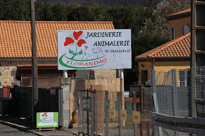 Floranimo à Salzuit