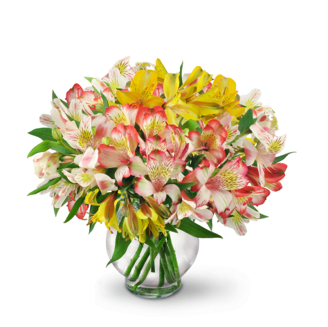 Florist «Flowers N More», reviews and photos, 740 SE Madison St, Albany, OR 97321, USA