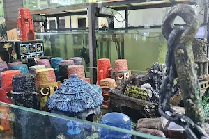 Mohamed Nagib's Aquatic Pet Store image