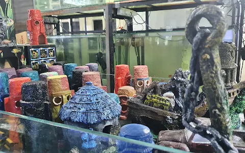 Mohamed Nagib's Aquatic Pet Store image