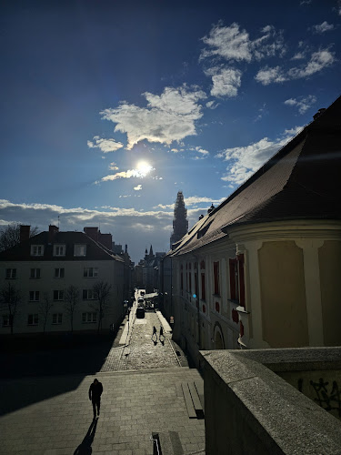 Muzeum Śląska Opolskiego - Opole
