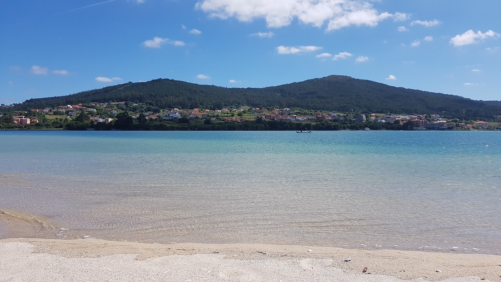 Praia da Barra'in fotoğrafı vahşi alan